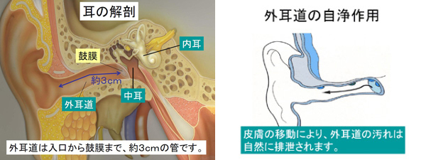 （図1）（図2）